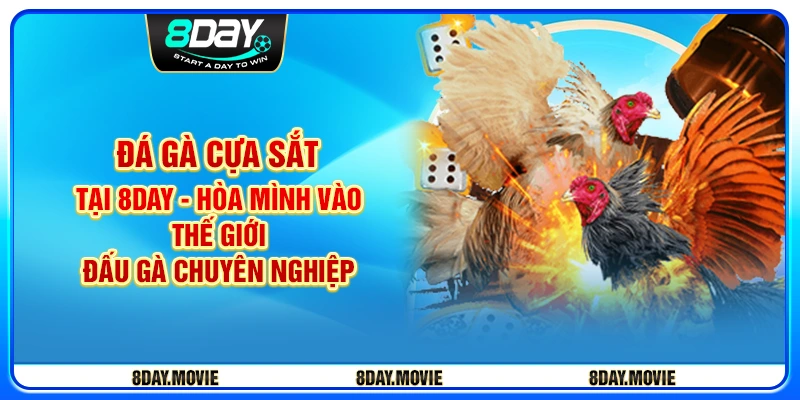 Đá gà cựa sắt tại 8day - Hòa mình vào thế giới đấu gà chuyên nghiệp